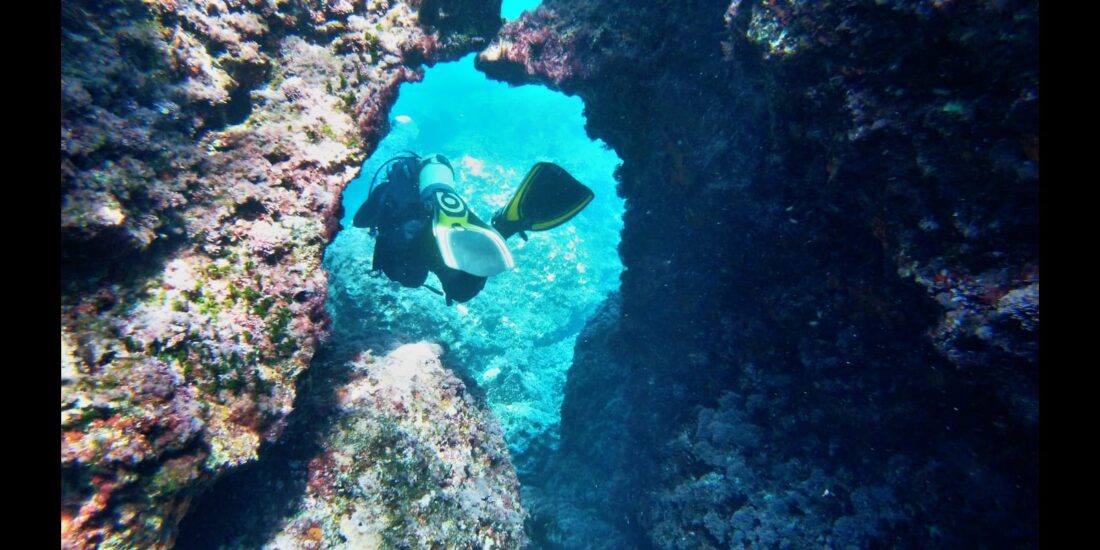 Dive Site Punta Negra